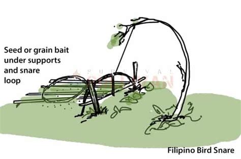 snares in tagalog|snare in Tagalog .